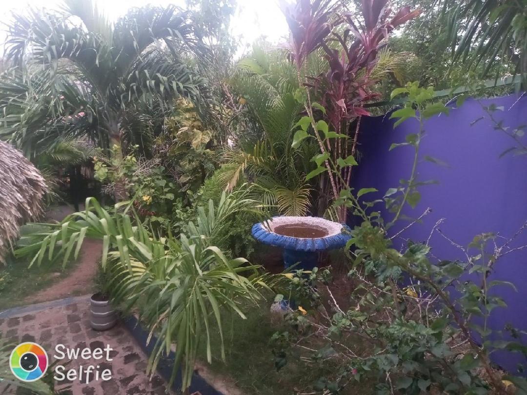 La Cascada Hostel & Restaurant ริวาส ภายนอก รูปภาพ